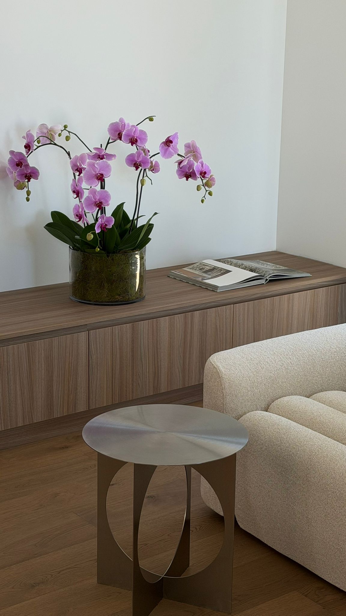 PHALAENOPSIS
