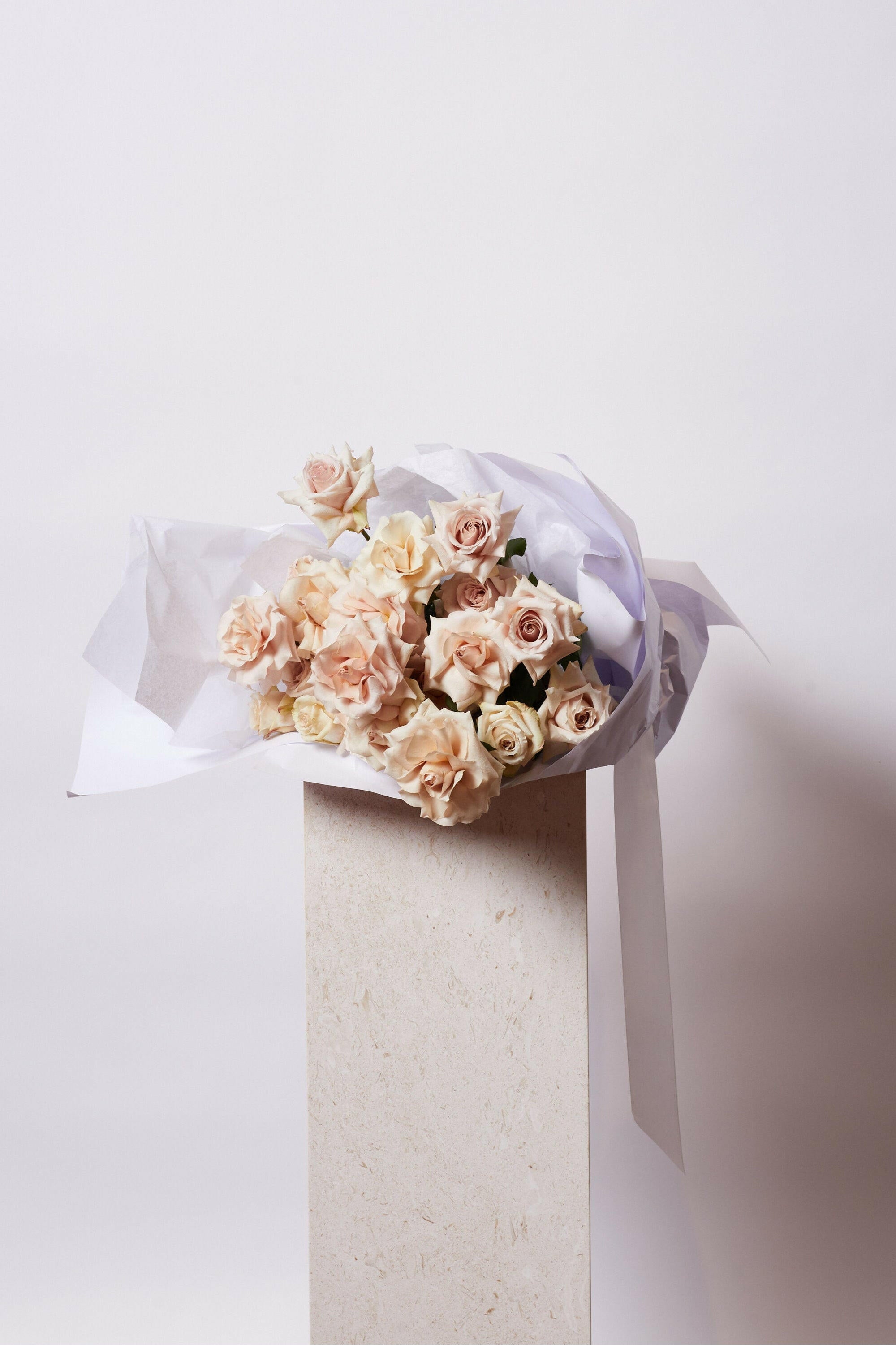 BLUSH ROSES