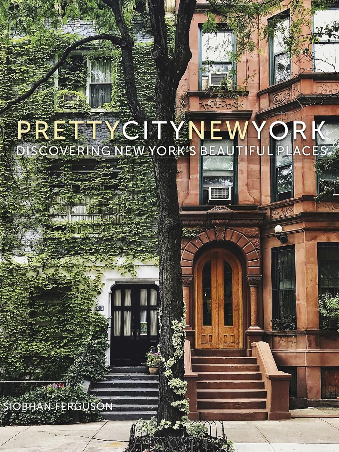 Pretty New York City